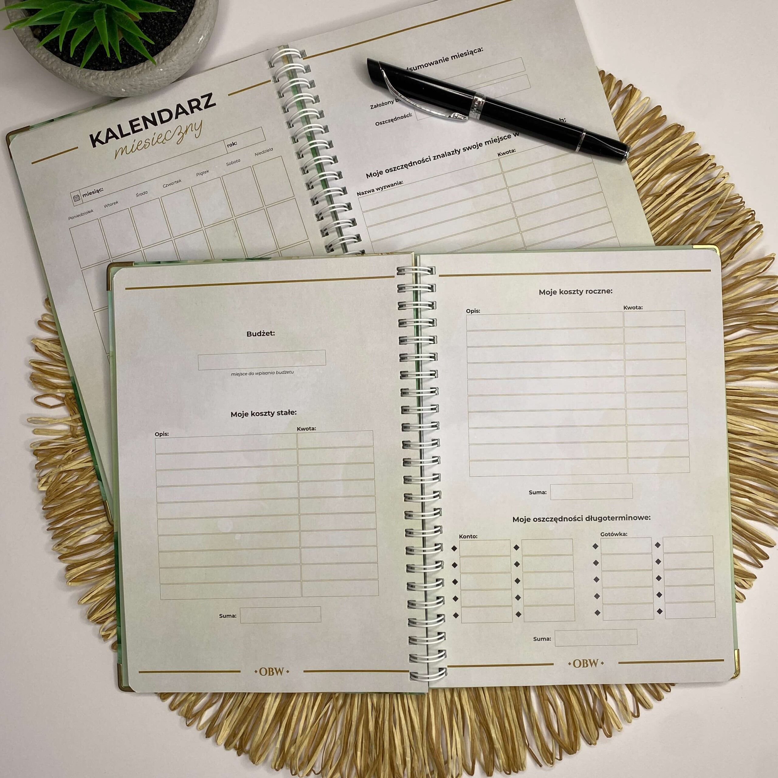 Planer Budżetu Domowego - obrazek 4