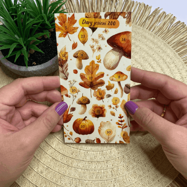 Wyzwanie oszczędnościowe - Dary Jesieni 200