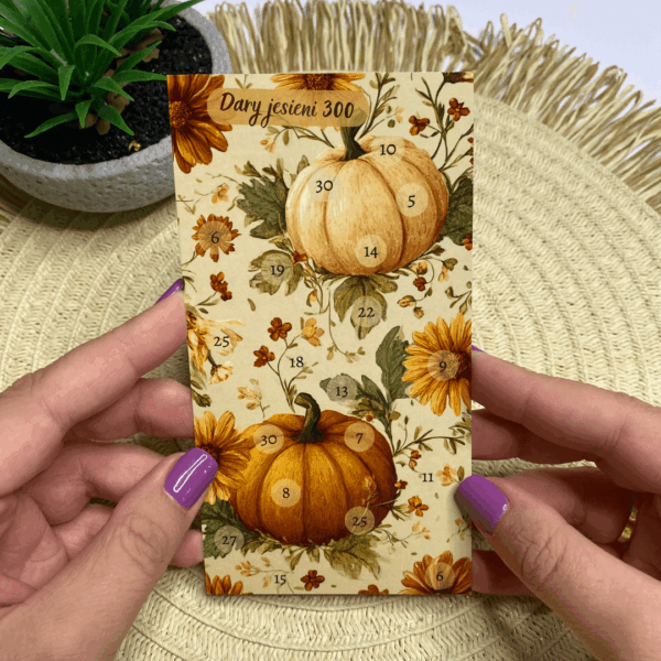 wyzwanie oszczędnościowe dary jesieni 300