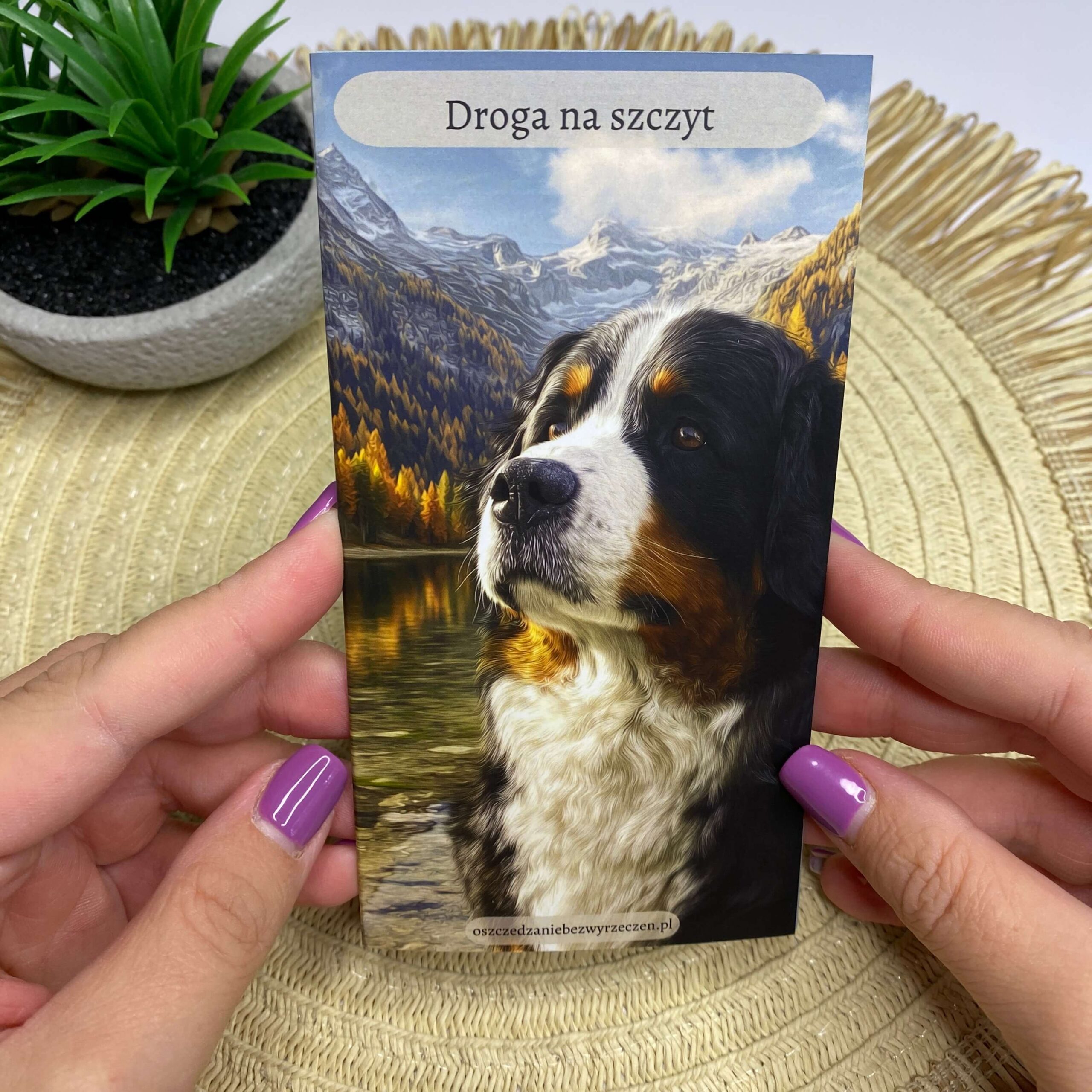 Wyzwanie oszczędnościowe - Droga na szczyt