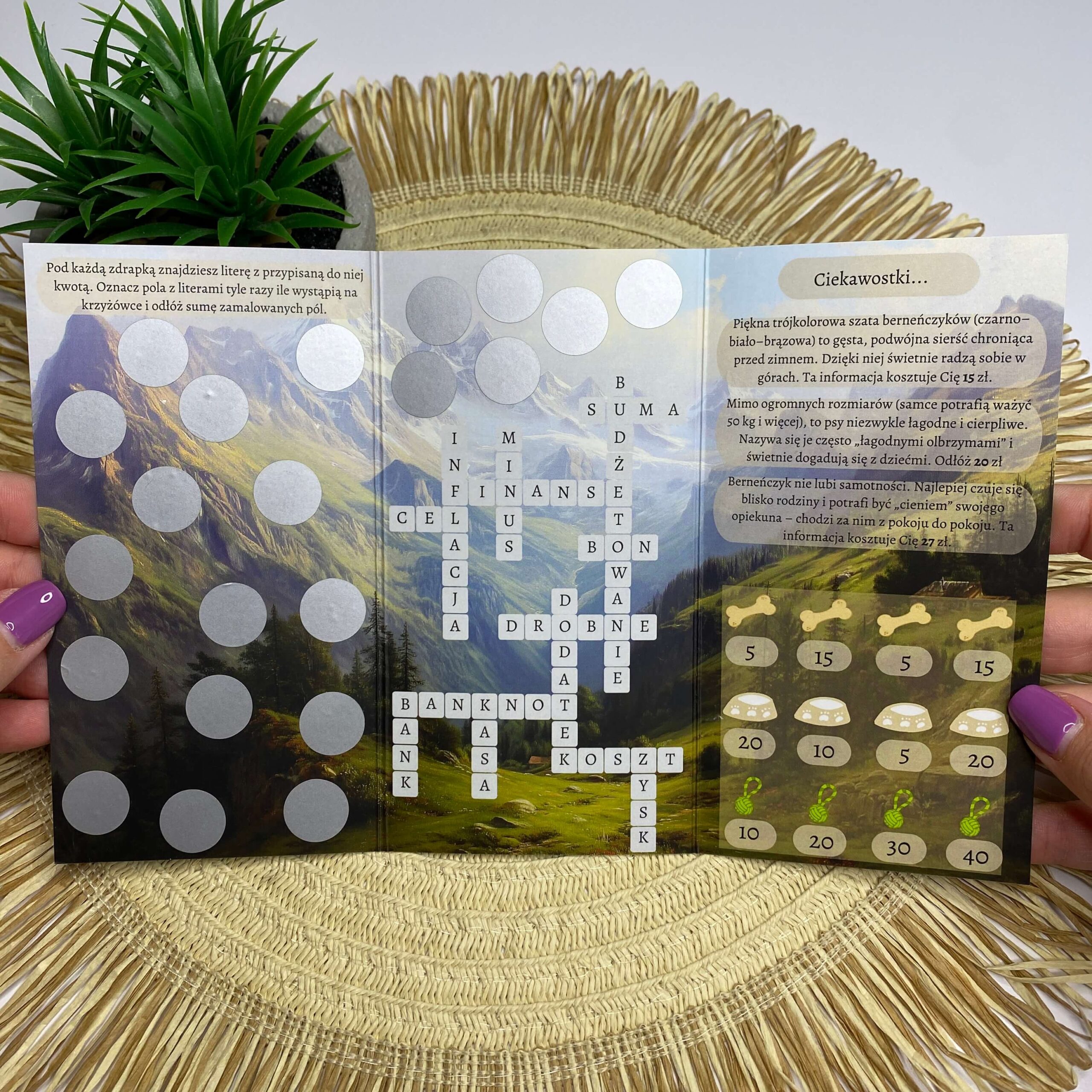 Wyzwanie oszczędnościowe - Droga na szczyt - obrazek 2