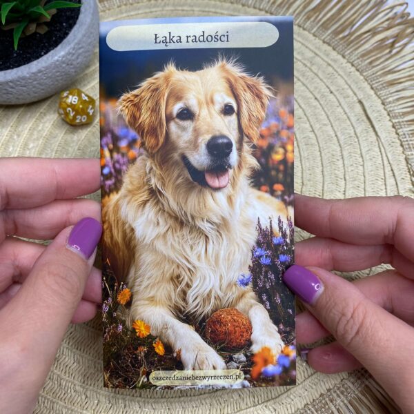 Wyzwanie oszczędnościowe z pieskiem