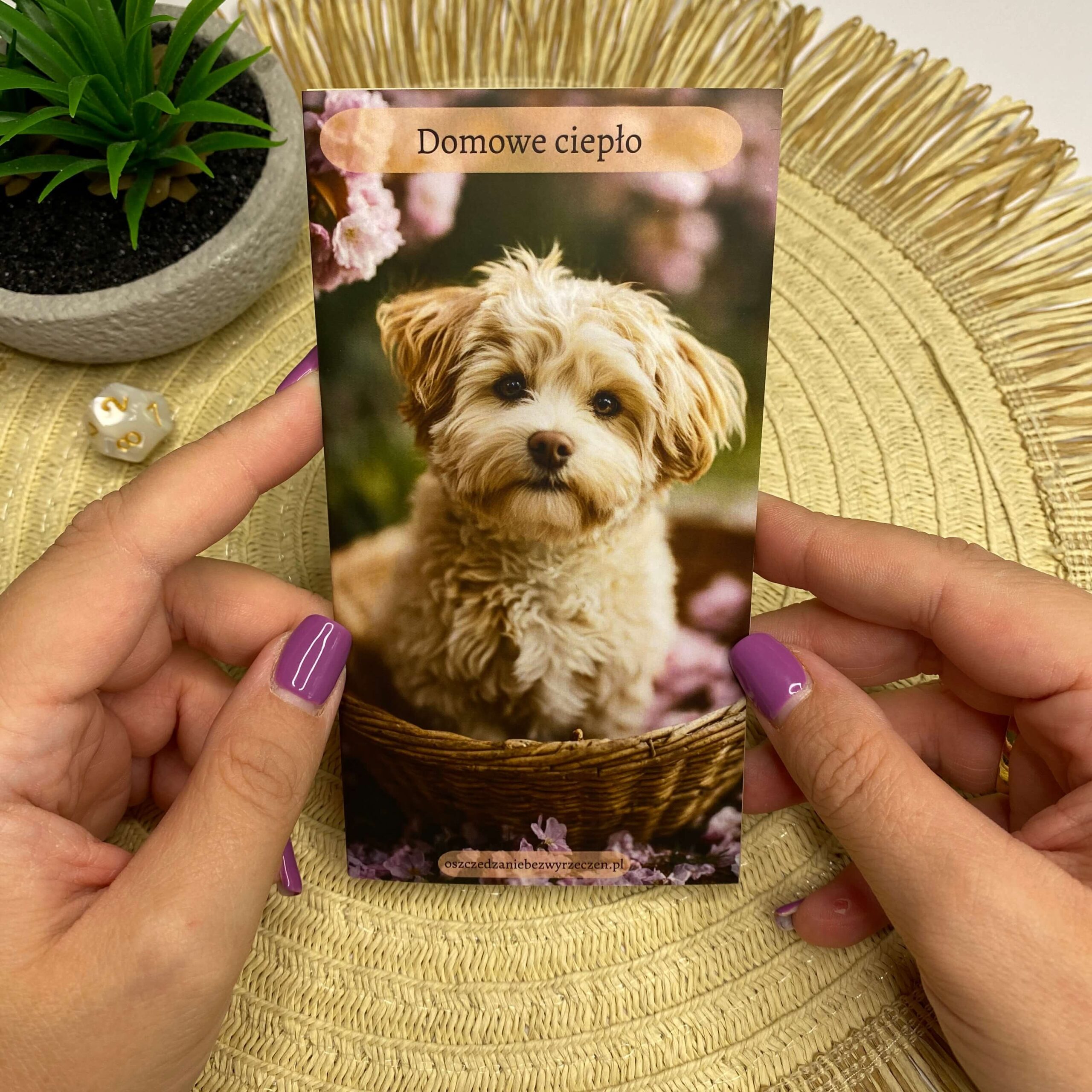 Wyzwanie oszczędnościowe - Domowe ciepło - obrazek 1